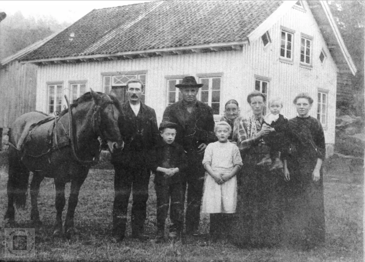 Gruppeportrett på Tronstad. - Historiske Foto- Marnardal og Audnedal ...