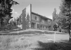 Johansen, Kristine fru