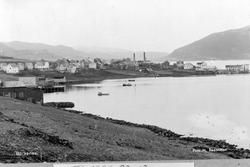 Bebyggelse på Borkenes. Skorsteinene på sildoljefabrikken i 