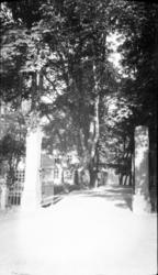 Hageanlegg, smijernsport. Holden hovedgård.