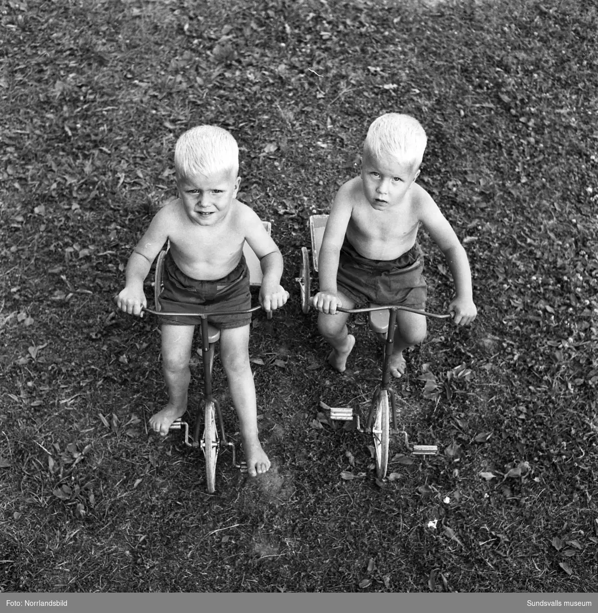 Sommarbarn på landet i Matfors. Två små pojkar på trehjulingar.