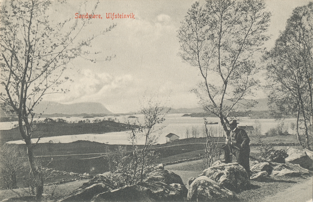 En mann ser på utsikten ved en veg i Ulsteinvik.