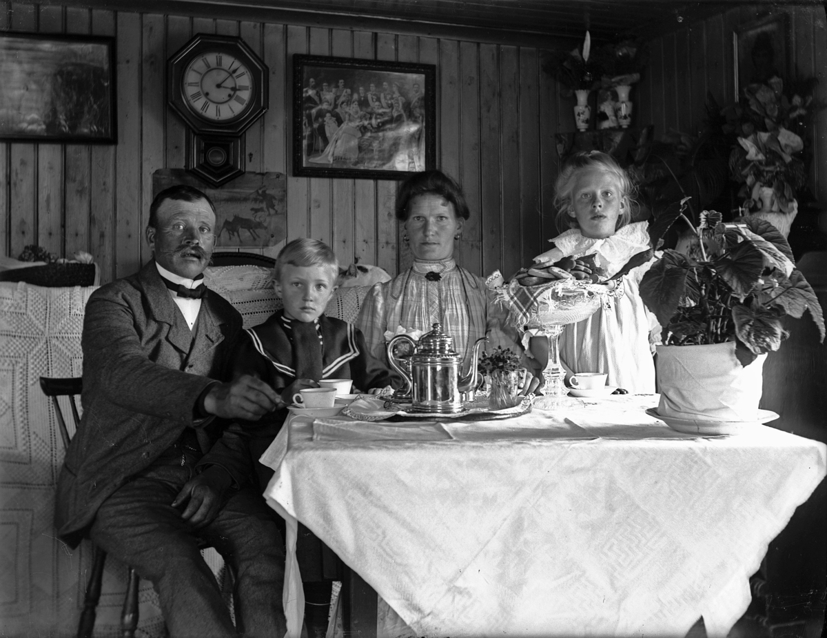 "Familjen Ekborg, kafferep", Hamby, Bred socken, Uppland, 30 maj 1909