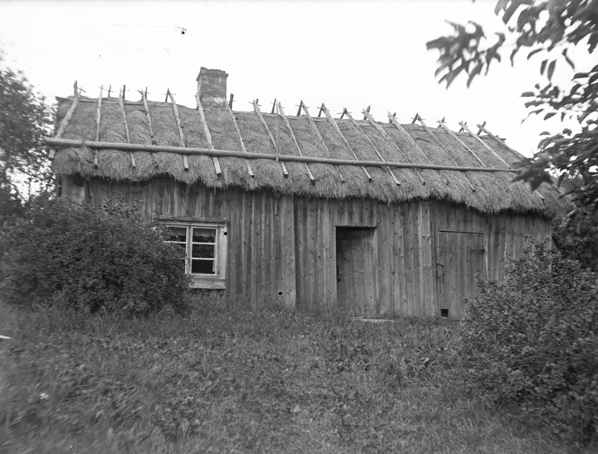 "Österbergs stuga", Brunnsbo, Hamby, Bred socken, Uppland, 15 augusti 1909