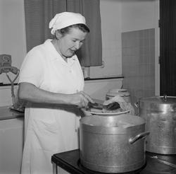 Sigfrida i kjøkkenet