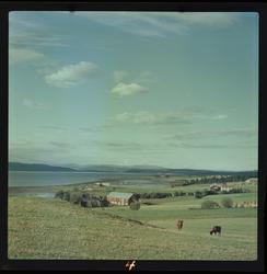 Fra Johnsborg med usikt utover Trondheimsfjorden.