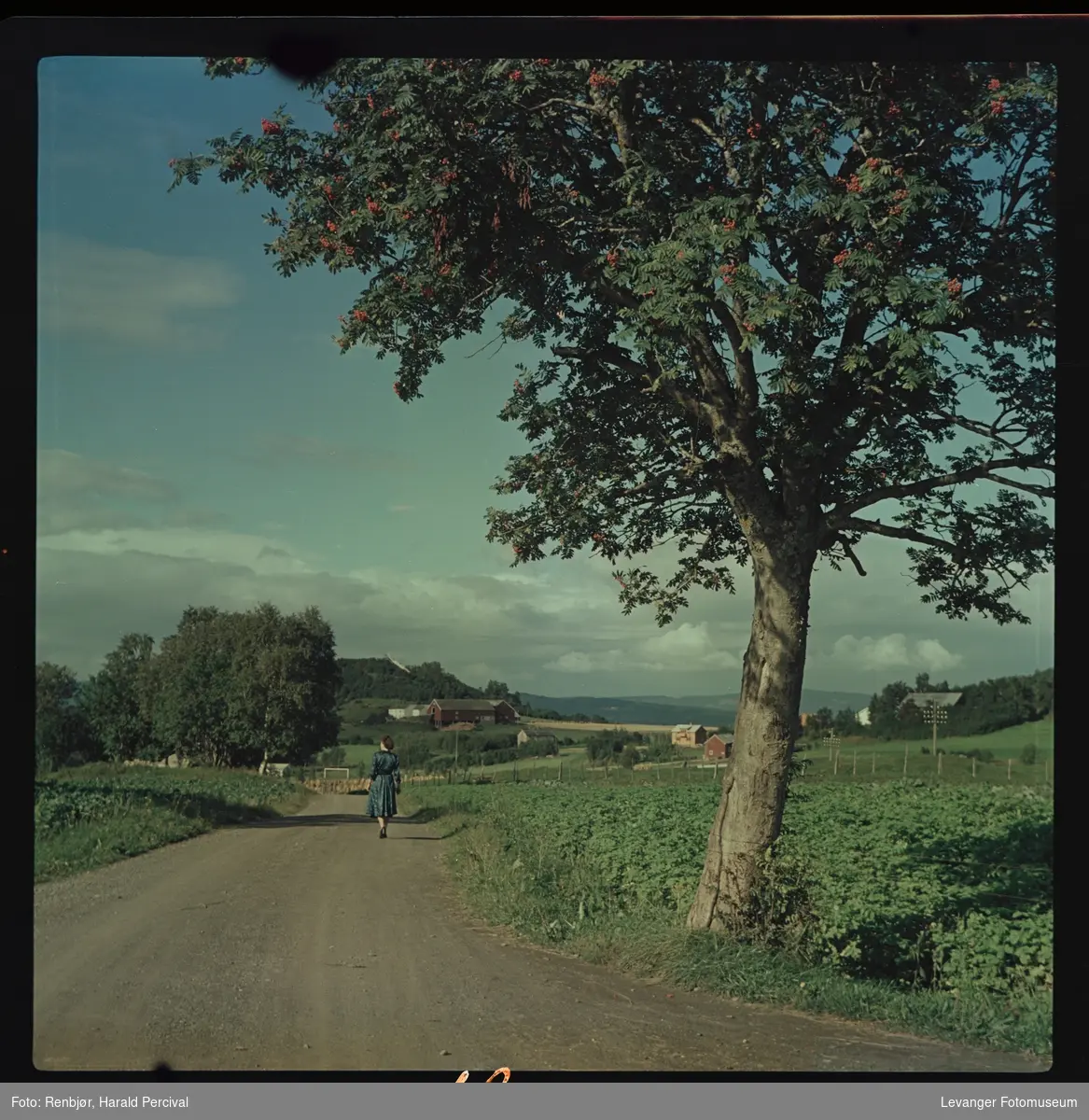 Landskap på Johnsborg, en kvinne går langs vegen.