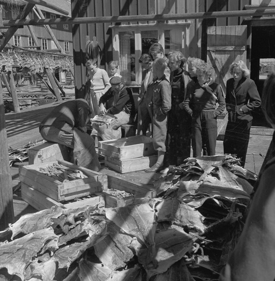 Samtidigt förvärvat: UMFA55076: 0001-0720