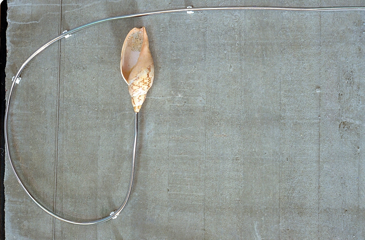 Elementene i installasjonen utgjør et tegnet mønster som assosierer både til et industrielt scenario og til labyrinten, uten at det umiddelbart lar seg entydig gripe. Flere steder er rør malt blå, gule og grønne, som reflekterer lyset som sprer seg øverst i rommet gjennom de tilsvarende fargede vindusglassene. Dette bidrar til å skape en estetisk og poetisk dialog mellom kunsten og bygget. På betongveggen finner man spredte hverdagsgjenstander slik som et speil, et forseggjort messingdørhåndtak, en stikkontakt, samt elementer fra naturen i form av et vakkert sammenfoldet skjell, bambus og trestykker. Fra fondveggen strekker installasjonen seg videre i ulike retninger bortover langs de tilstøtende veggene og avsluttes på forskjellig vis, som for eksempel i kunstnerens personlige pilspiss, godt bevart fra egen barndom. En av linjene bryter tvers gjennom bygningsveggen og fortsetter videre i utomhusterrenget i det utvendige inngangspartiet. Der løper den langs bakken, kryper oppover en stor granittstein som kunstneren har hentet fra den lokale elvebredden og videre langs bakken, for til sist å forsvinne ned i jorden.

En messingplate til venstre på fondveggen har det indianske ordtaket «Det er syv hovedretninger: Opp, Øst, Sør, Nord, Vest, Ned og Inn i Deg Selv» innrisset på samisk og norsk som gir oss et utgangspunkt for egne tolkninger. Linjene i installasjonen har noe med retningene å gjøre for de ulike gjenstandene er metaforer. I speilet møter du deg selv, og med håndtaket kan du åpne dører og grenser. Pilen peker mot skogene som symboliserer en del av menneskenes naturlige røtter, vår fruktbarhet er knyttet til jorden og steinen er det eviges symbol.