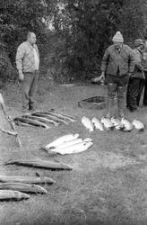 Fangst med person(er).