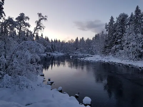 Bilde av mesnaelva tatt fra skiløypa på vinterstid. Kaldt og klar himmel.