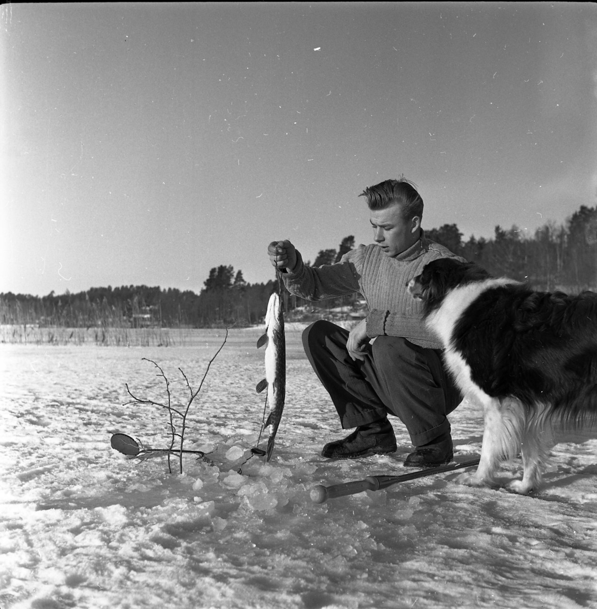 En ung man i ribbsticka tröja och grova kängor sitter på huk på isen för vinterfiske. Han har just dragit upp en gädda som han visar upp. Hunden Pucky sitter intill.