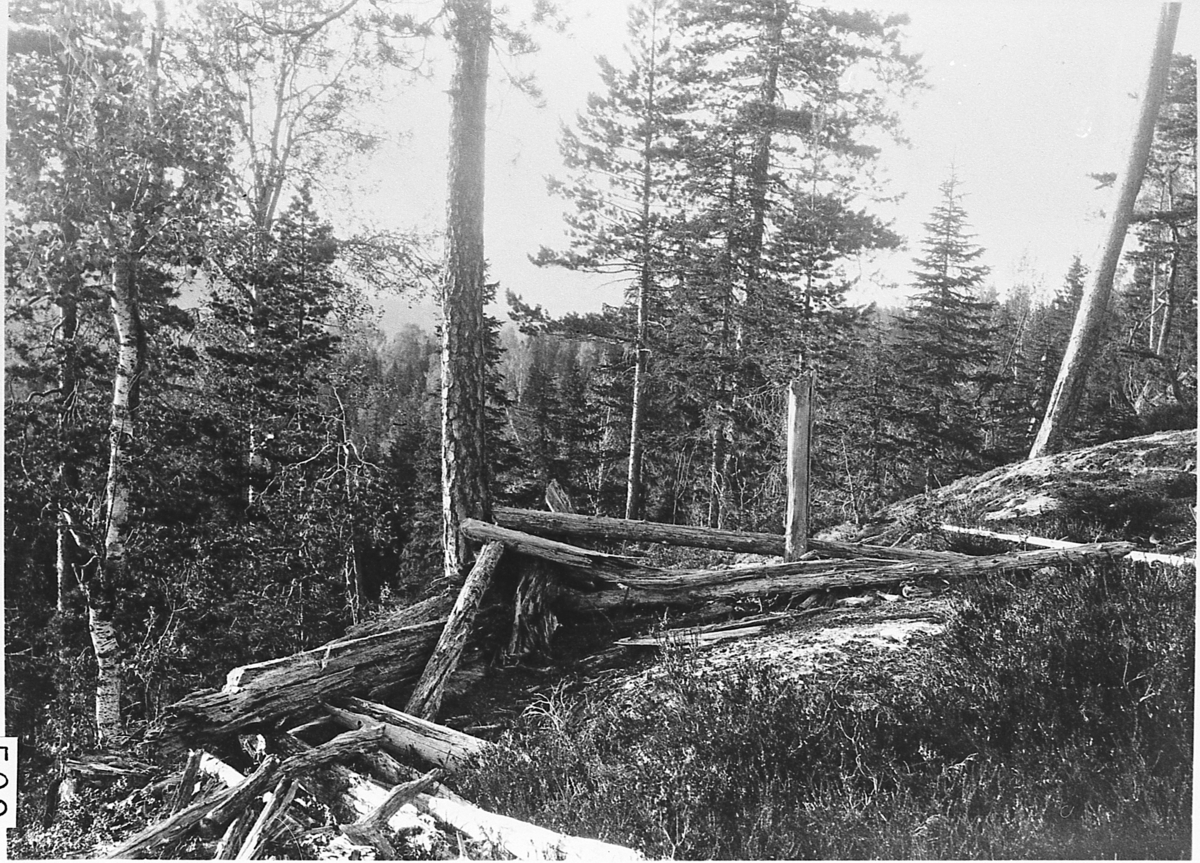 Rester av skyttergården, ved bjønnestillingen på Gjelleråsen. 1924.