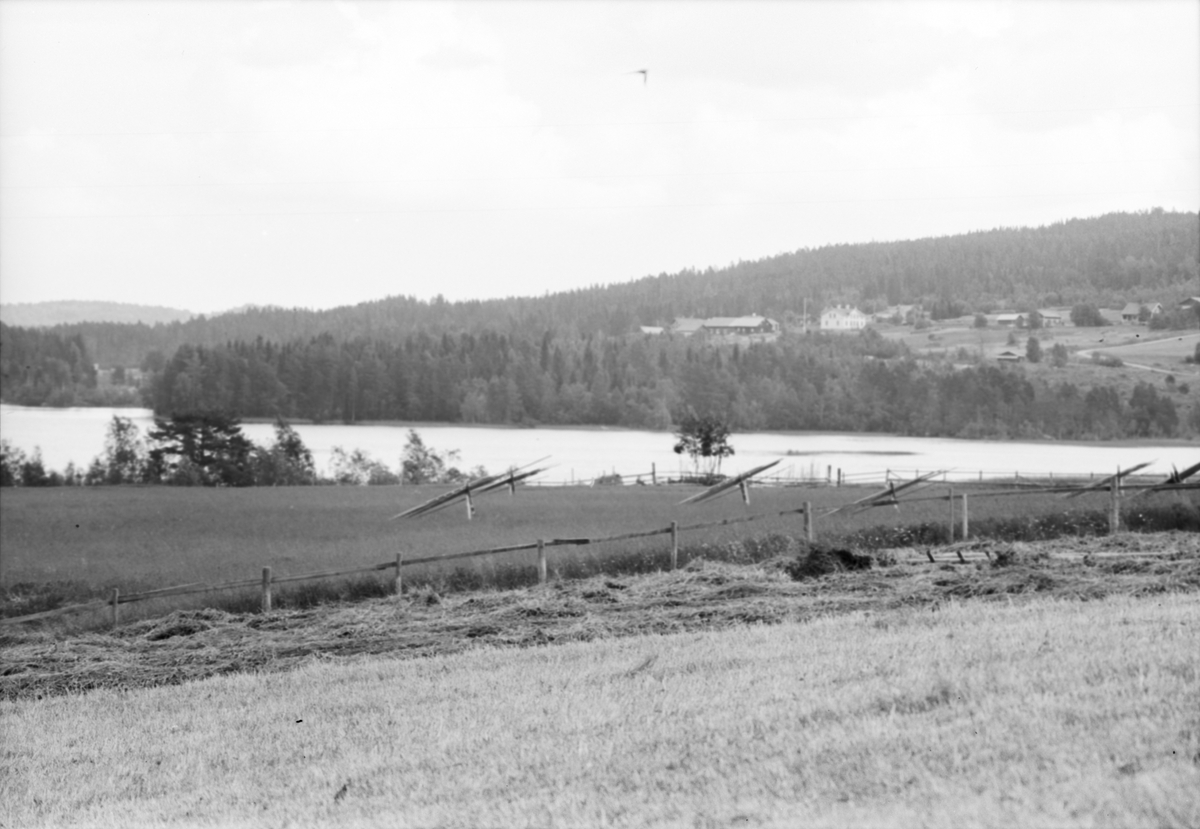 Håsjös utsikt, Håsjö, Jämtland 1950