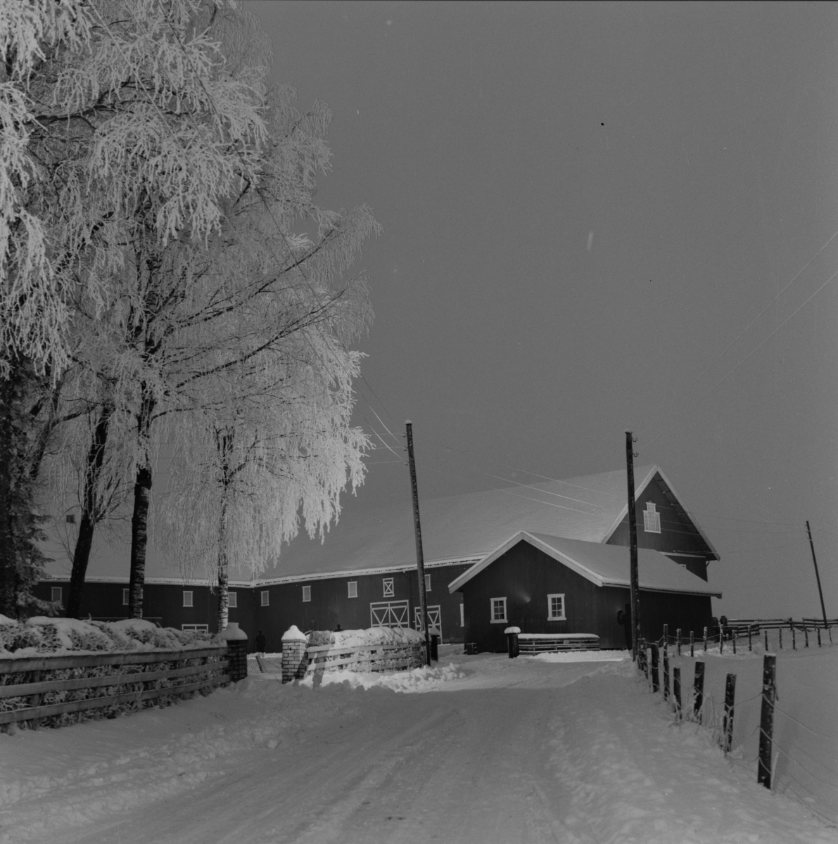 Sørum gård i Gjerdrum vinteren 1960-1963