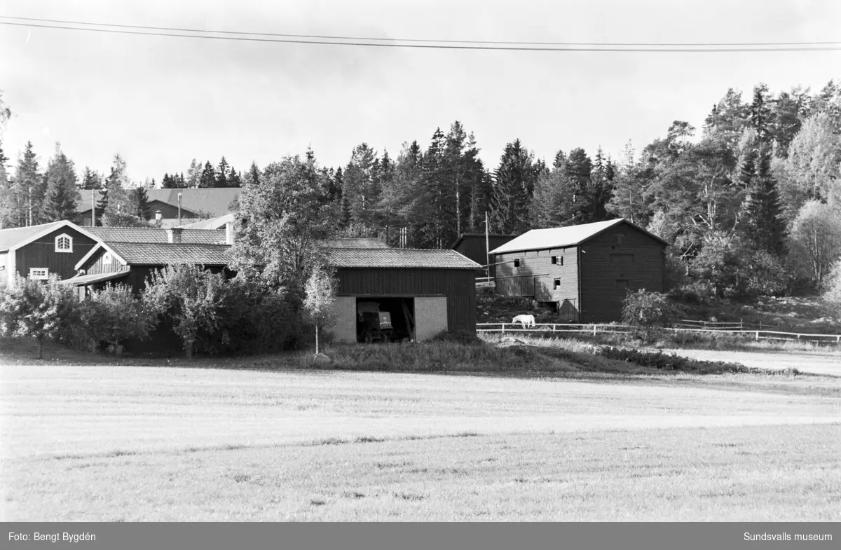 Lantgård i Sköle by i Matfors med mangårdsbyggnad och ekonomibyggnader. Skölevägen 12-14.