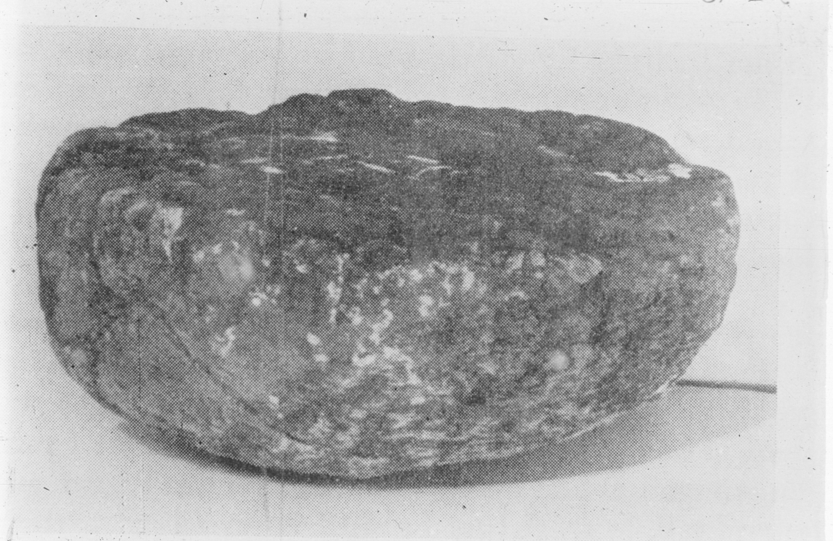 "Emne til flatt kar av kleberstein, rimeligvis fra av typen R. 729, men lavere og mer flatbunnet. 30,5 cm i tverrmål og 14 cm høyt." I samsvar med beskrivelsen.
