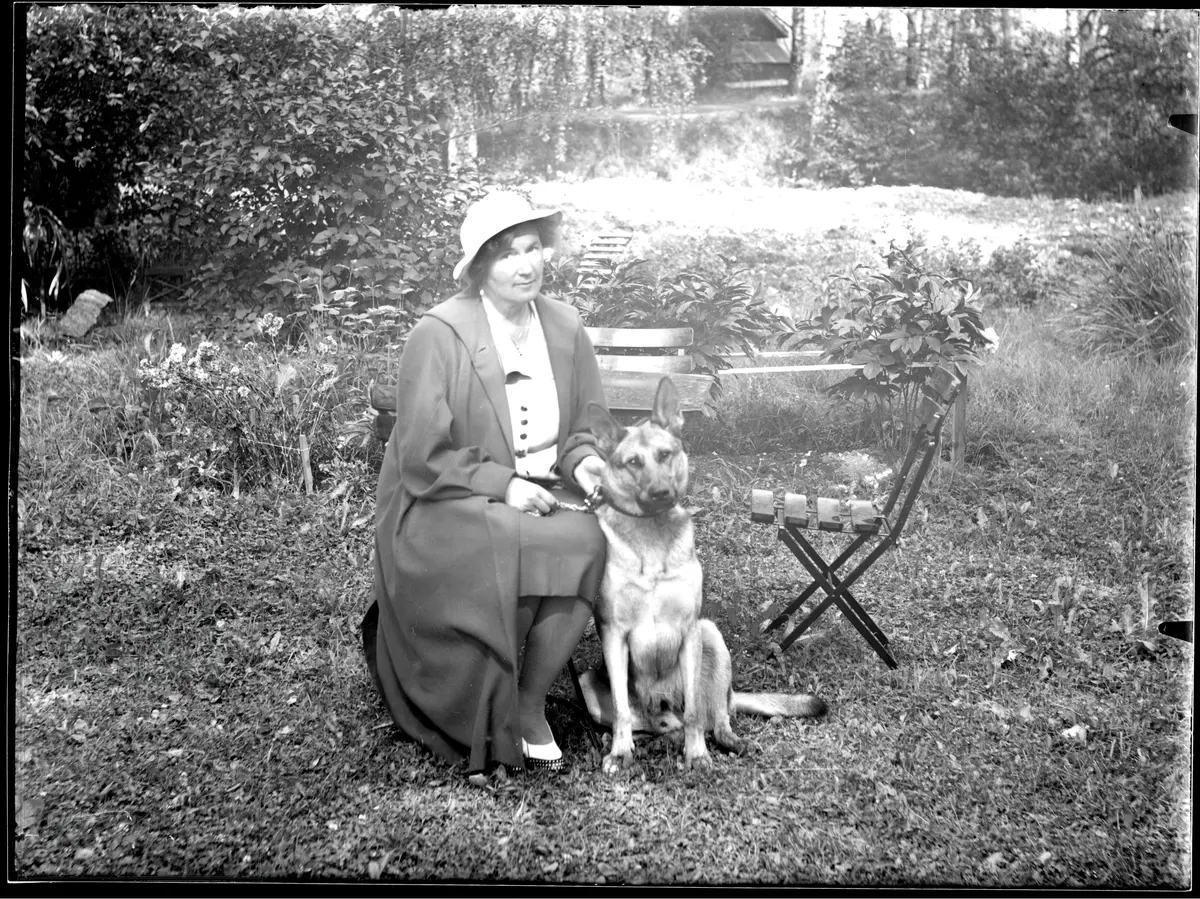 En dame med hatt sitter ute i en hage og holder en Schäferhund i bånd.