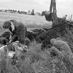 Utgravninger på garden Hov i Løten, Hedmark i 1966. Fotograf