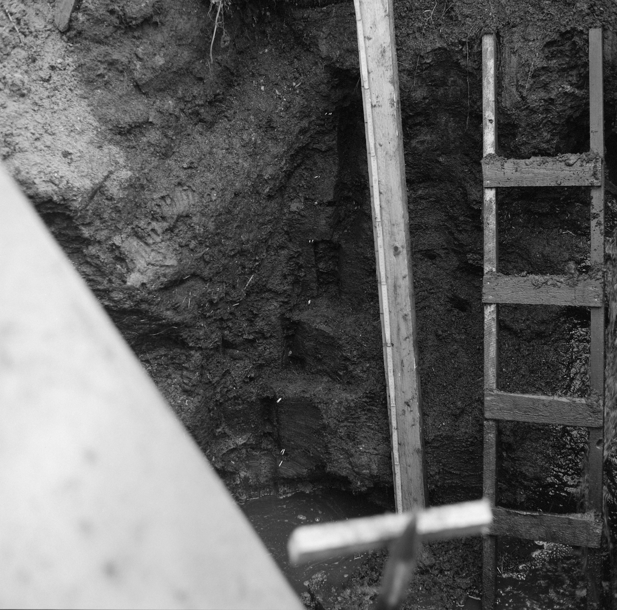 Fra ei nedgravd grop på et av jordene på Hov i Løten i Hedmark, der det nylig var nedsatt en kloakkum (nederst til venstre på dette fotografiet). Under gravearbeidene som var nødvendige for å få denne kummen djupt nok ned i bakken fant Johan Skårholen et elggevir i bemerkelsesverdig stor dybde i jordlagene. En C14-analyse indikerte at geviret var om lag 8 500 år gammelt. Denne dateringa, og et gevirfunn med nesten like høy alder et par hundre meter unna noen få år tidligere, bidro til at det var interesse for å foreta supplerende naturhistoriske undersøkelser på funnstedet. Ekteparet og kollegene Kari og Gunnar Henningsmoen fra Universitetet i Oslo kom til Løten for å ta jordprøver 7. og 8. september 1974. Målet var å bruke prøvene i et pollenanalytisk prosjekt som skulle kartlegge biologiske forhold på funnstedet gjennom årtusener. Til høyre i bildet ser vi en stige forskerne brukte når de skulle hente ut prøver fra jordsmonnet etter et stratigrafisk system. Bordet som sto ved sida av stigen ble brukt som anlegg for en to meter lang tommestokk som ble brukt til å måle avstanden fra bakkenivået ned til de punktene der det ble hentet ut jordprøver. 

Se fanen «Opplysninger» og litteraturreferansene til dette fotografiet.