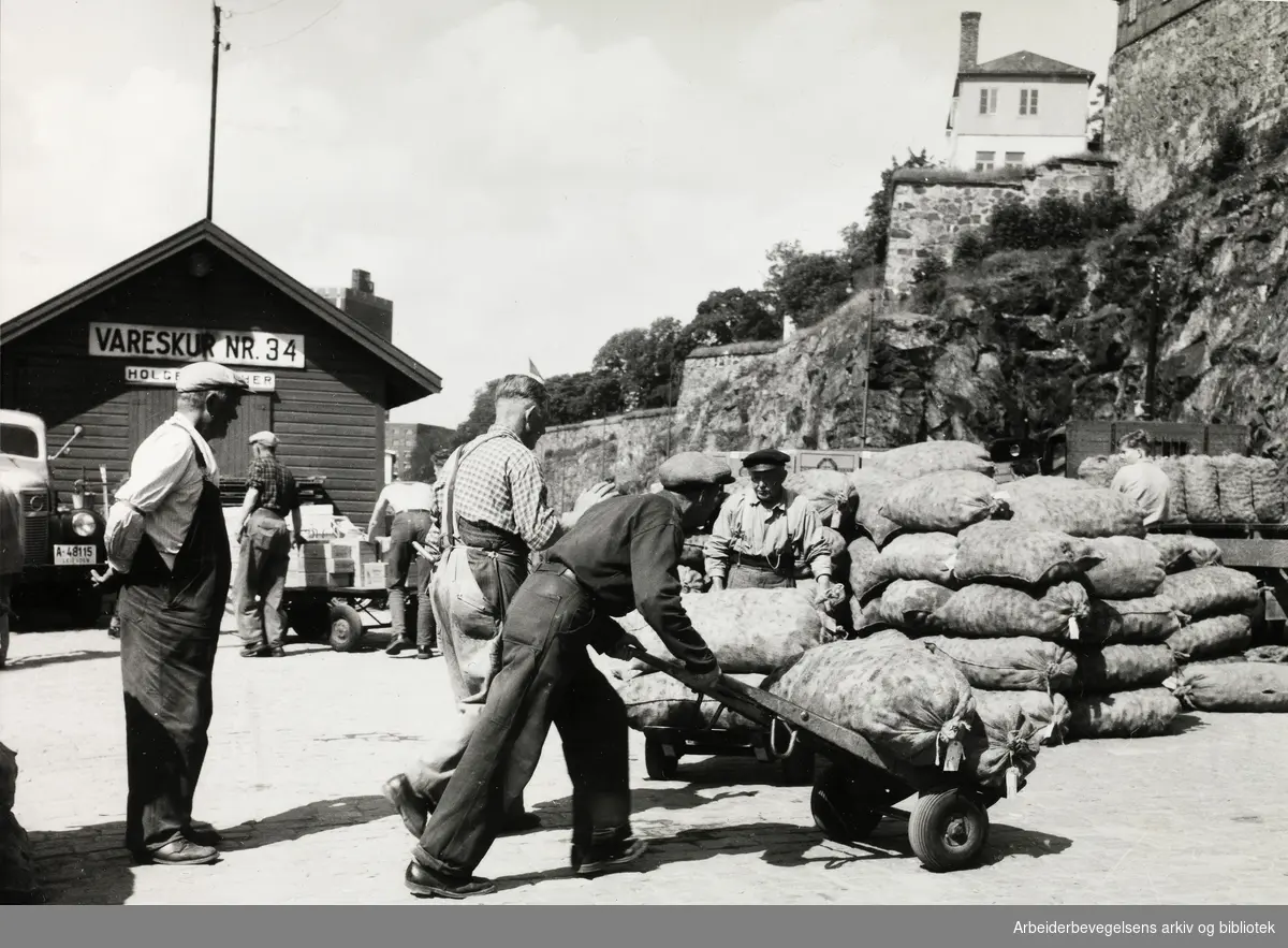 Bryggearbeidere ved Oslo havn, 1954.