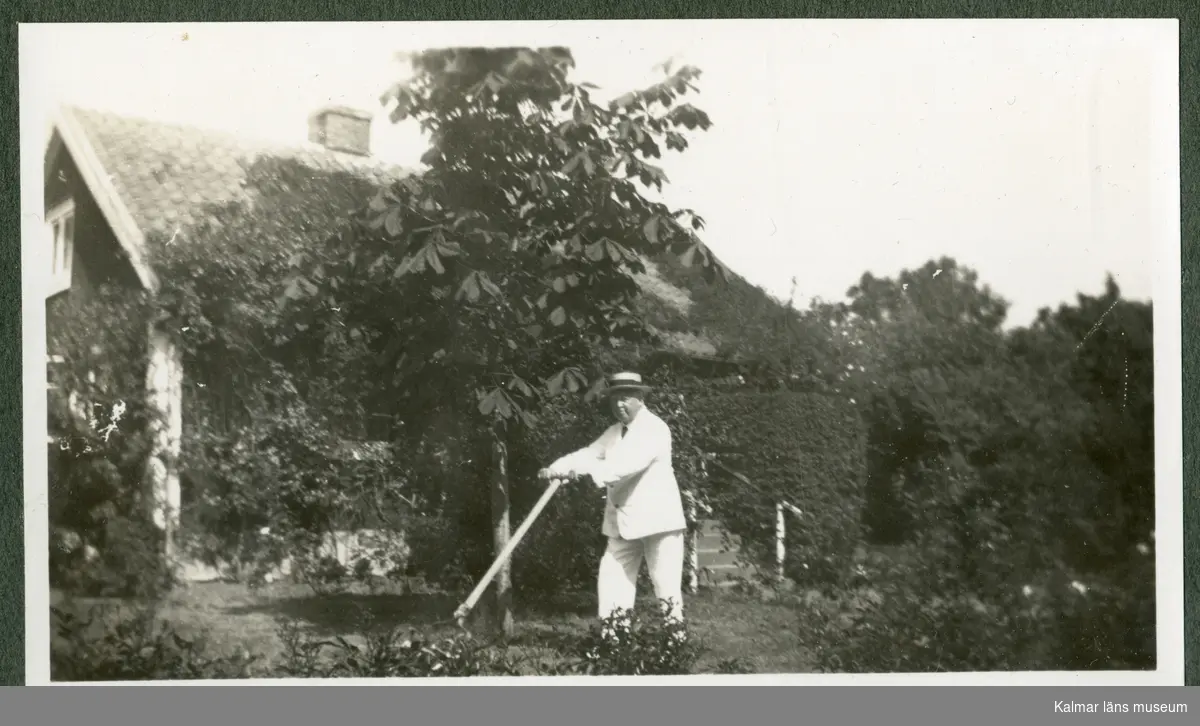 Waldemar Swahn klipper gräset i trädgården tillhörande sommarbostället på Stångudden, Ekenäs.