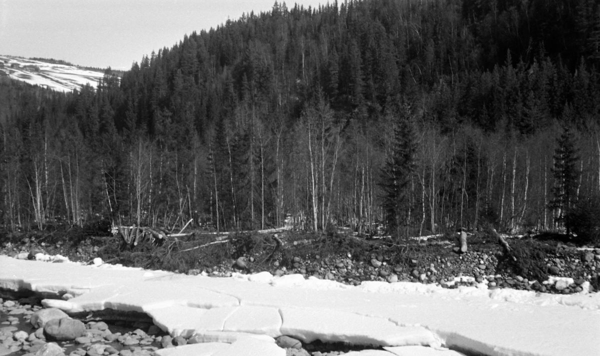 Tømmertillegging ved elva Vinstra i Nord-Fron kommune i Midt-Gudbrandsdalen. Fotografiet ble tatt ved Gaupvollen i Tverrbygda, mellom Kvikne og Skåbu, vinteren 1954. Her ligger stokkene litt spredt på elvebrinken. I lia bakenfor vokste det ei blanding av gran- og bjørkeskog. Elveleiet i forgrunnen var nesten tørrlagt, med en isbrem på landsida.