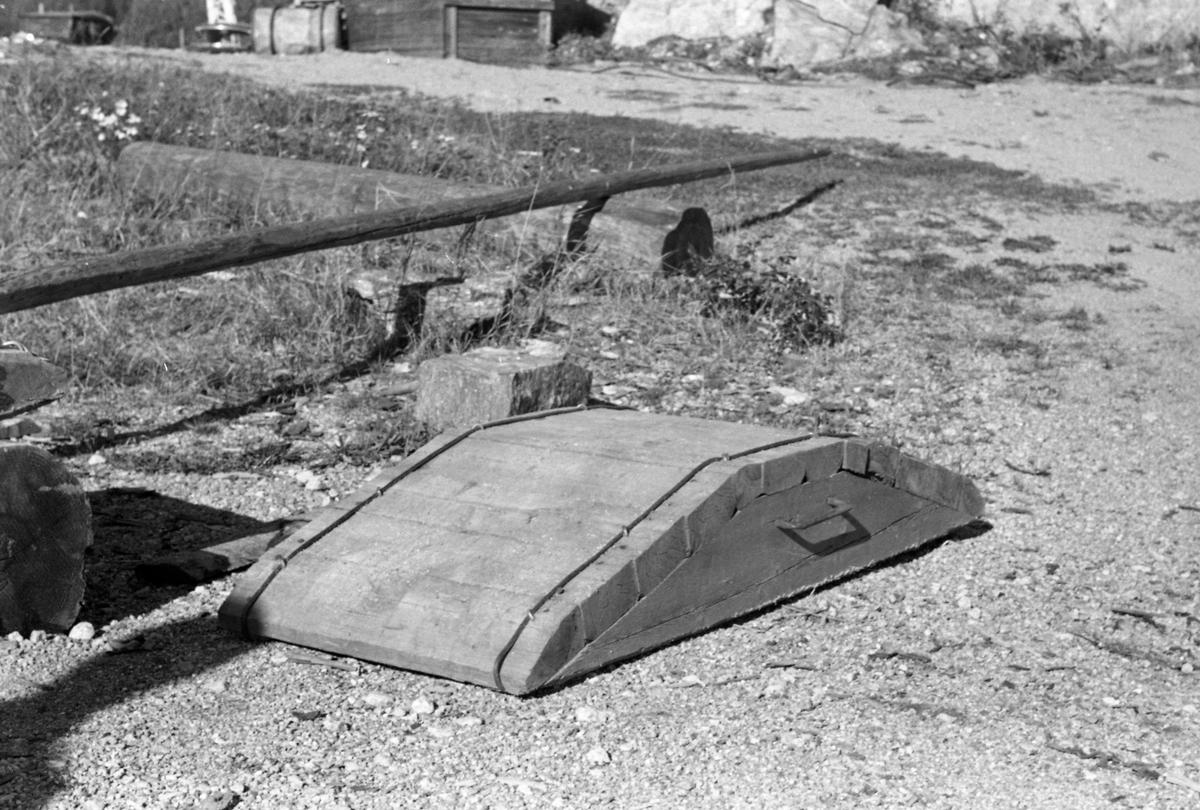 Tur til Haldenvassdraget 20/8 1956. Veltebukk ca. 25 cm høy.