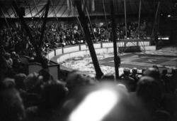 «På Arnardo sirkus 23.08.1957»