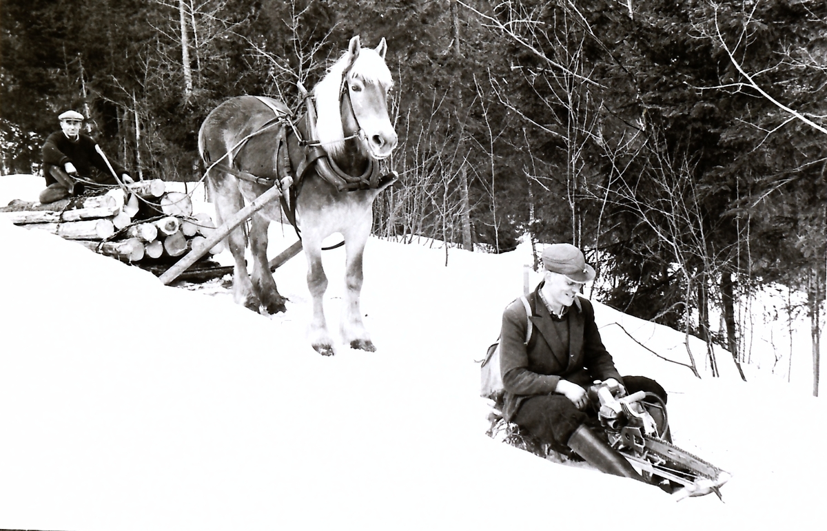 Tømmerkjøring i Reinelia. Nils Johansen med hest og Tore Engrønningen f 1931 på kjelke