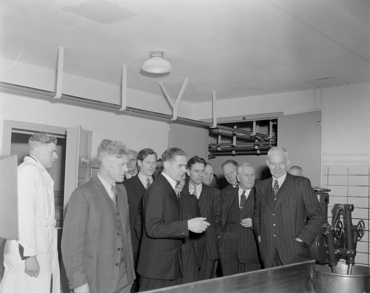 En gruppe menn på omvisning i slakteriet på Eie før åpning.