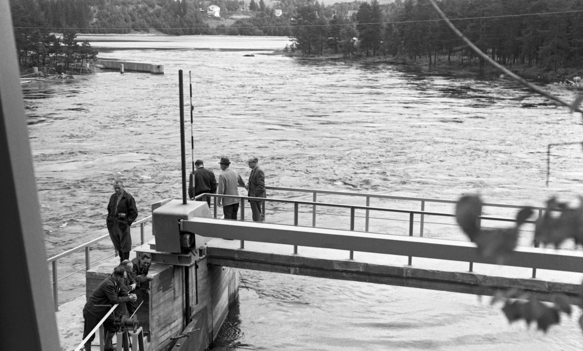 Norsk Fløtingsforbunds befaring til Drammensvassdraget i 1962. Tømmerrenne av betong. Kran for rensking av inntaksgrinder til kraftstasjon.