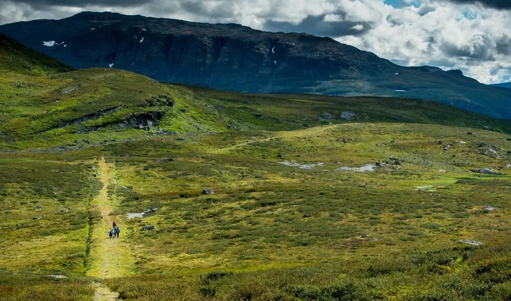 Oversiktsbilde over Kongevegen over Filefjell. Gammel vei l fjellandskap.