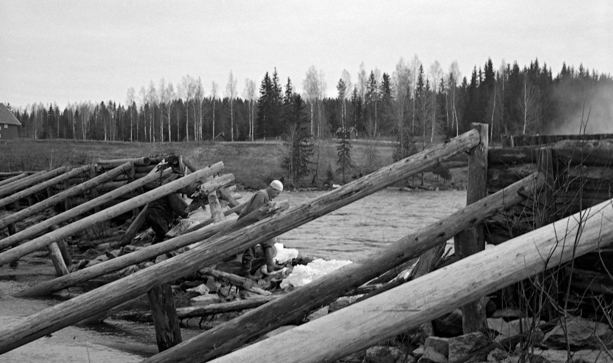 To menn, fotografert i ruinene av en skådam på motstrøms side av Kvislerholmen i Sør-Odal kommune i Hedmark, etter at deler av dammen ble ødelagt under isgang i 1962. Dammen var bygd som en vekk av tettstilte, oppoverskrånende tømmerstokker, som var forankret i bukker, også de lagd av rundtømmer, som var forankret i ei steinete strandlinje.