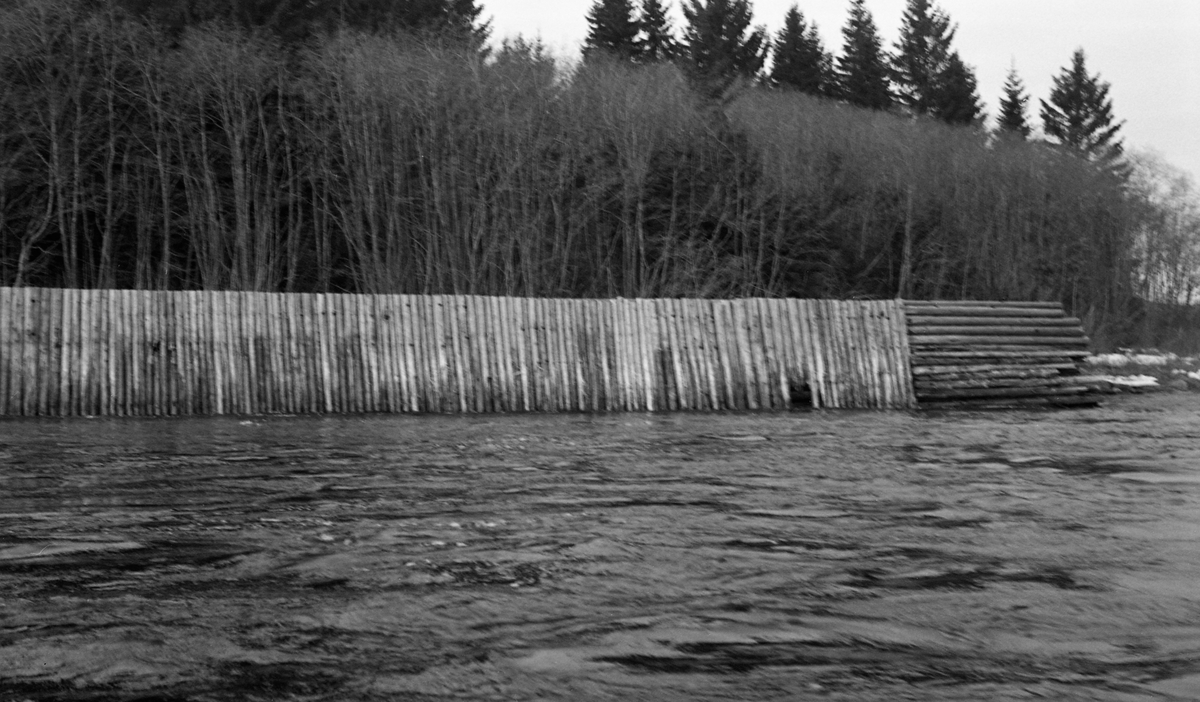 Skådam av tømmer ved Glomma. Brudd i dammen skyldes isgang. Kvislerholmen, Sør-Odal, Hedmark.