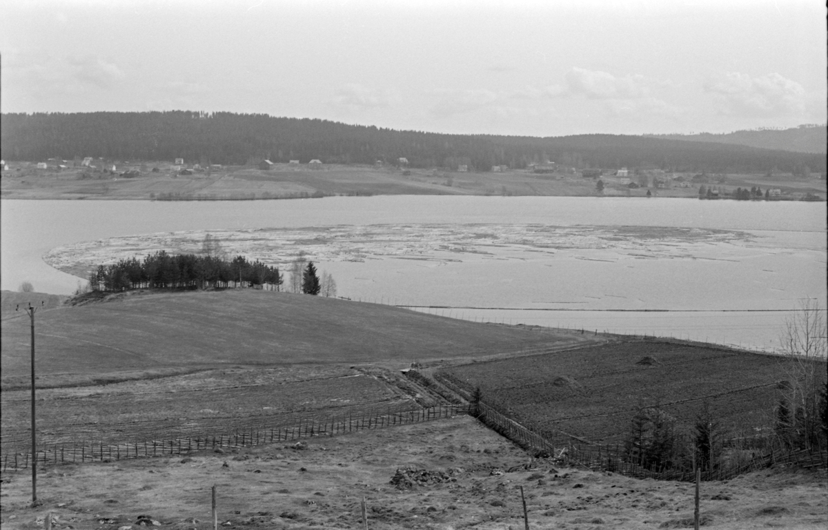 Lense med tømmer ved Kilåas utløp i innsjøen Råsen i Nord-Odal kommune i Hedmark i 1955. Fotografiet er tatt fra en bakkekam, med et dyrket areal i forgrunnen og mot vannspeilet på innsjøen, der det lå en diger tømmerbom. I bakgrunnen ser vi bebyggelsen på østsida av innsjøen med bakenforliggende skog. Det året dette fotografiet ble tatt ble det levert 21 545 stokker til fløting fra Råsen.