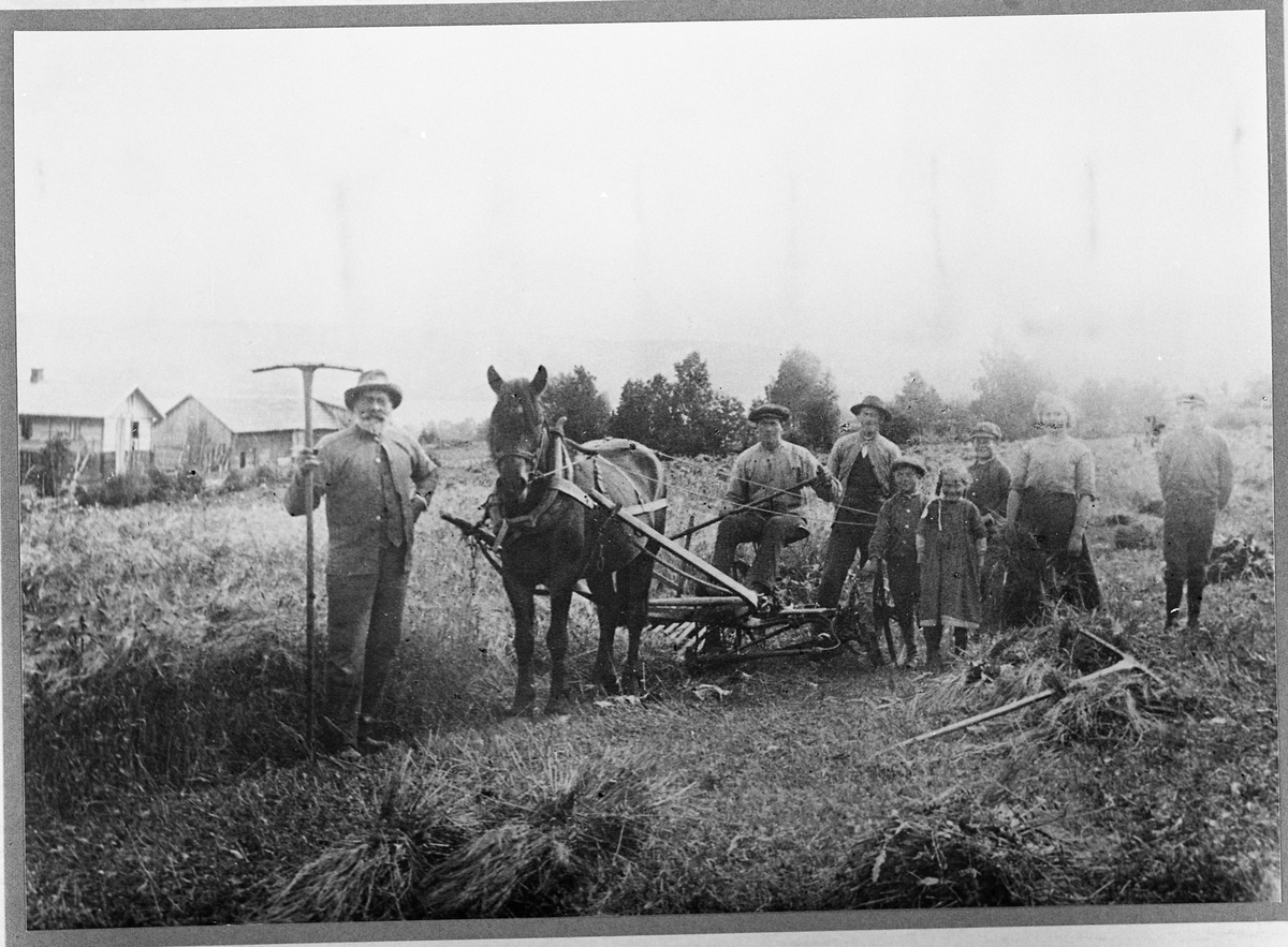 Skuronn på Amlien, Vestre Toten, 1913. Bildet er tatt fra nord. Gården til venstre er Amlihagen. Johan f.Amlien m.familie. 7 barn. Kone og to barn ikke tilstede.