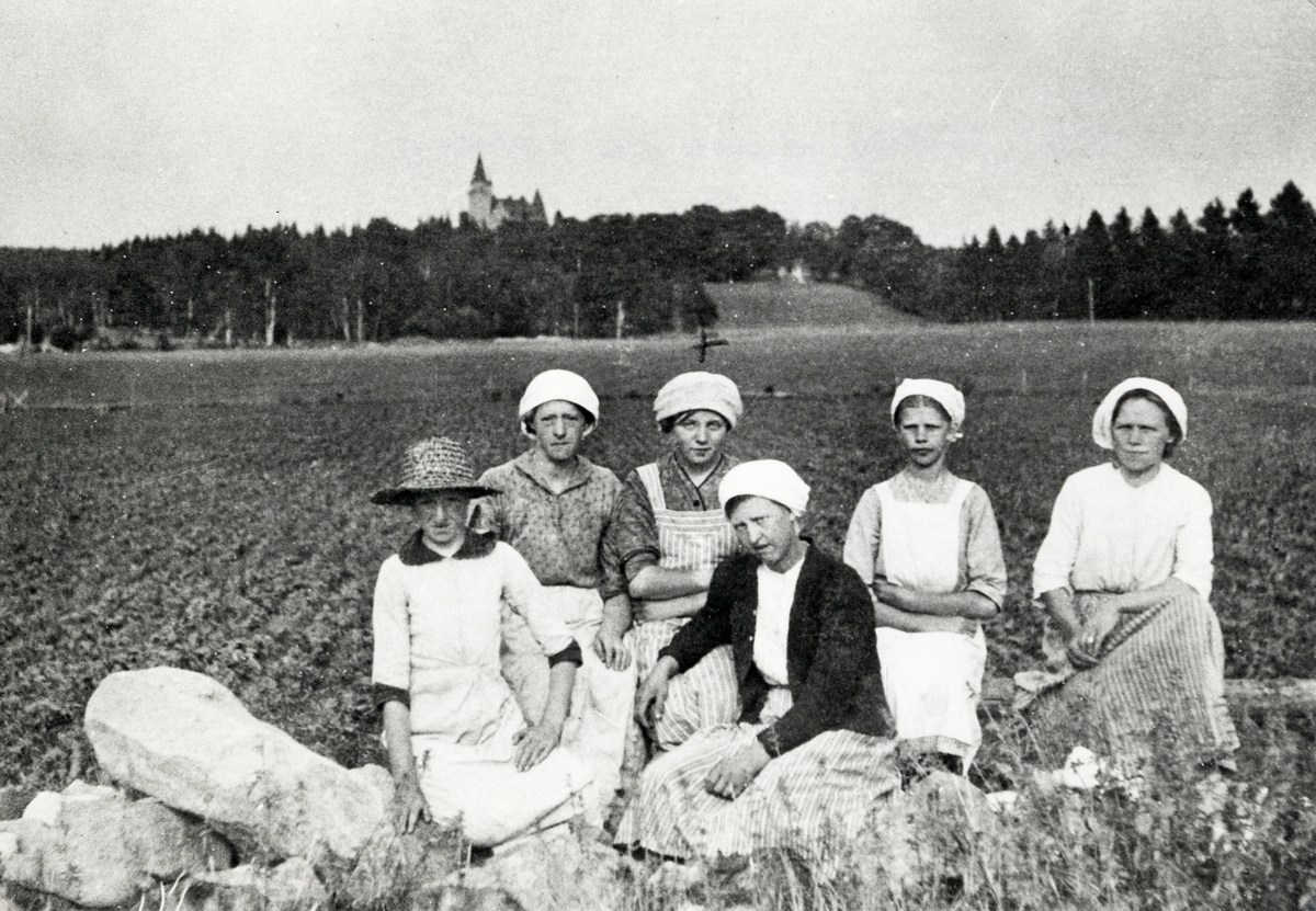 Några unga kvinnor gallrar rovor på åkrarna vid Teleborgs slott. Ca 1920.