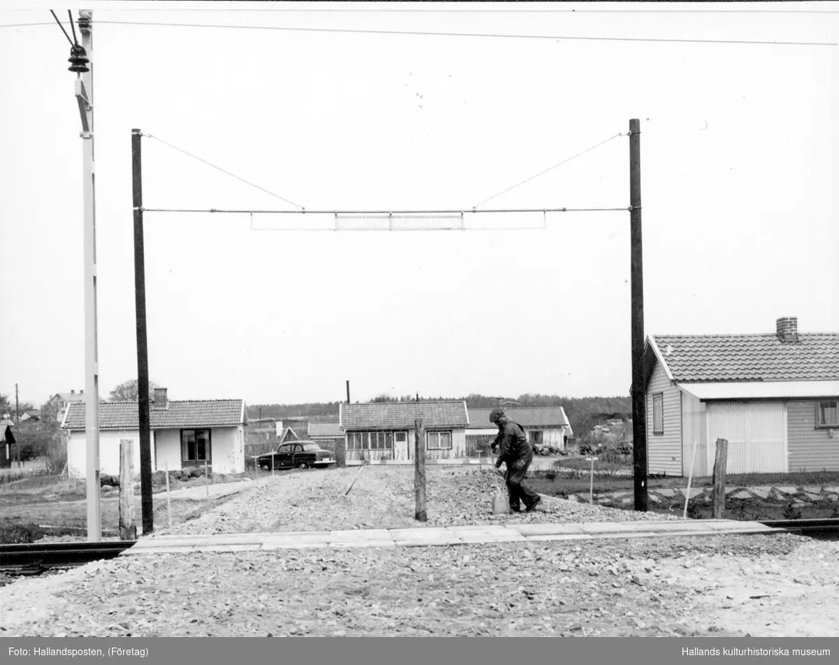 Artikel i Hallandsposten 1964-05-04, Bildtext: Ny järnvägsövergång i Apelviken. Ett kustlandskap med fritidshusbebyggelse. I förgrunden en obevakad järnvägskorsning där en man arbetar med en spade.