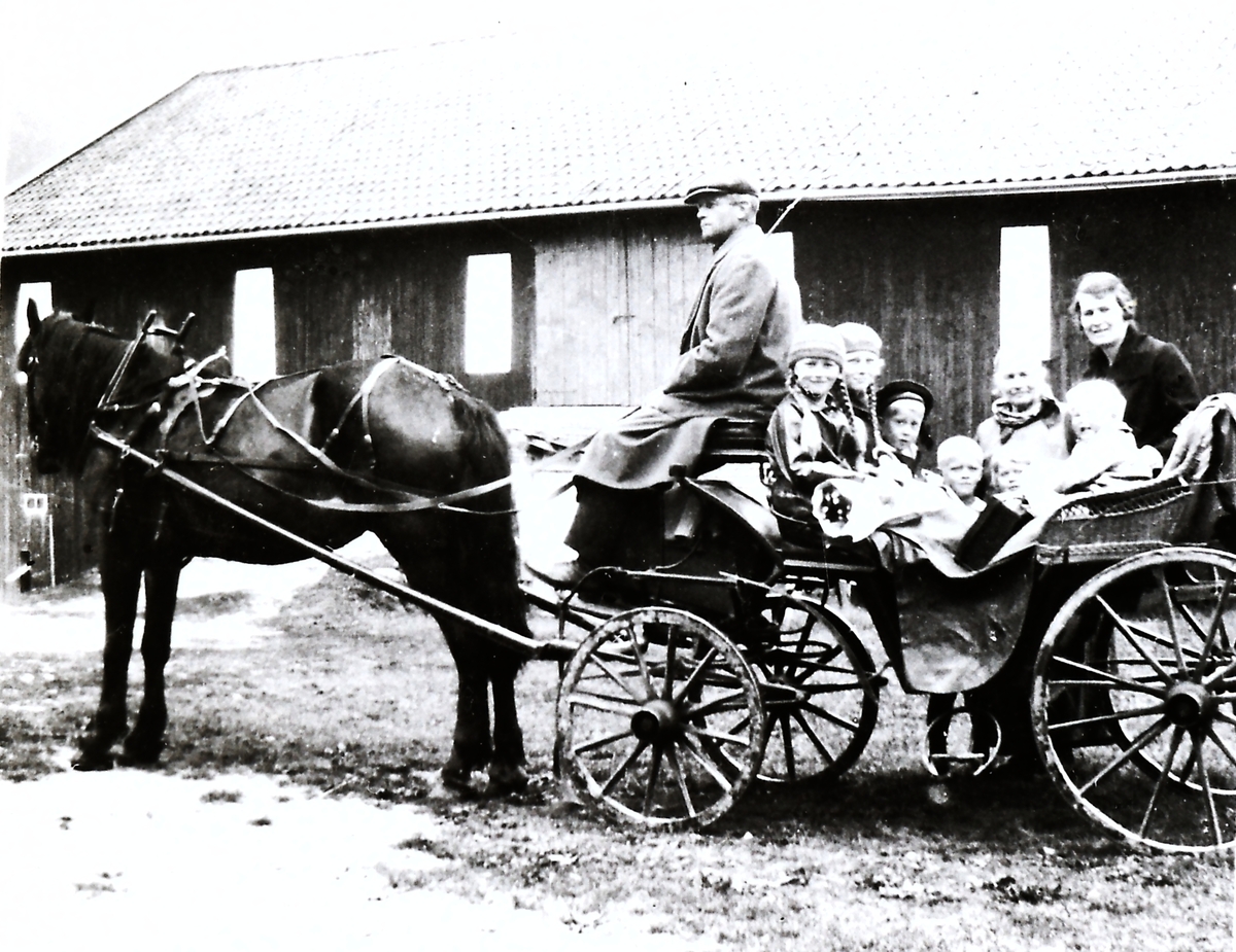 Hesteskyss med trille på Mellom Skinnes. Trillen finnes fortsatt. Helge Skinnes (1886-1980) med diverse barn, mor Andrine Eriksdr Skinnes f. 1861, pluss tante.