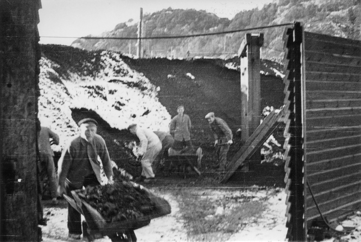 Kullbingen på Fayancen, februar 1944.