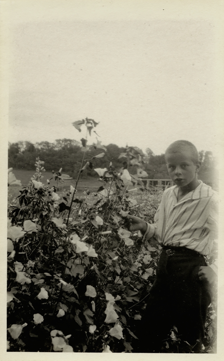 Bildet viser Anders Castus Svarstad jr. ved en blomstrende busk