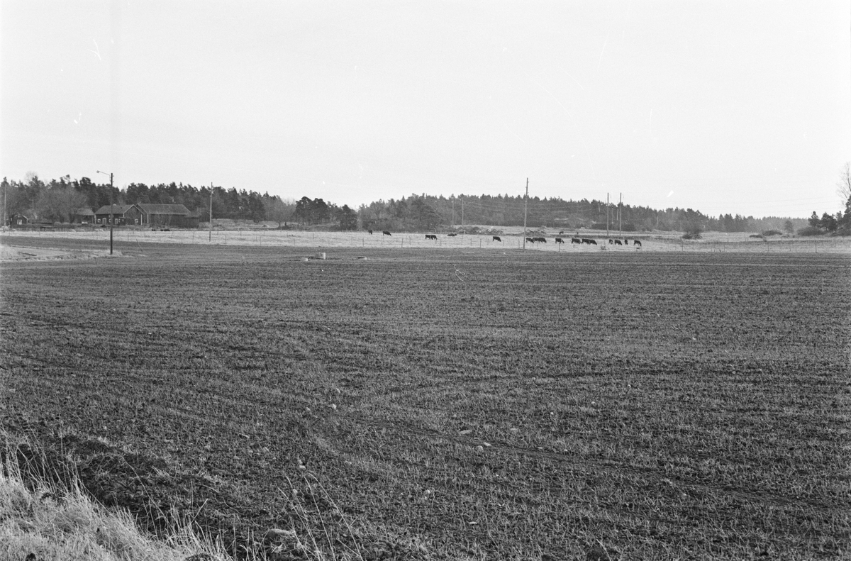 Vy över Svia 3:5, Södergården, Vaksala socken, Uppland 1978