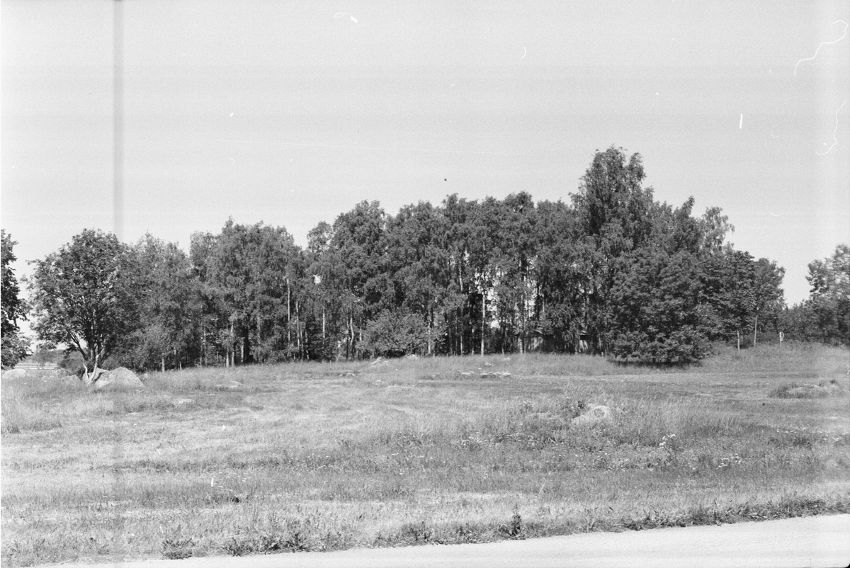 Fornlämningsområde Törnkullen, Vänge socken, Uppland 1975