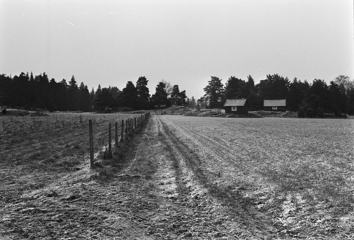 Smedja och garage, Lörsta 2:1-5:1, Uppsala-Näs socken, Uppland 1984