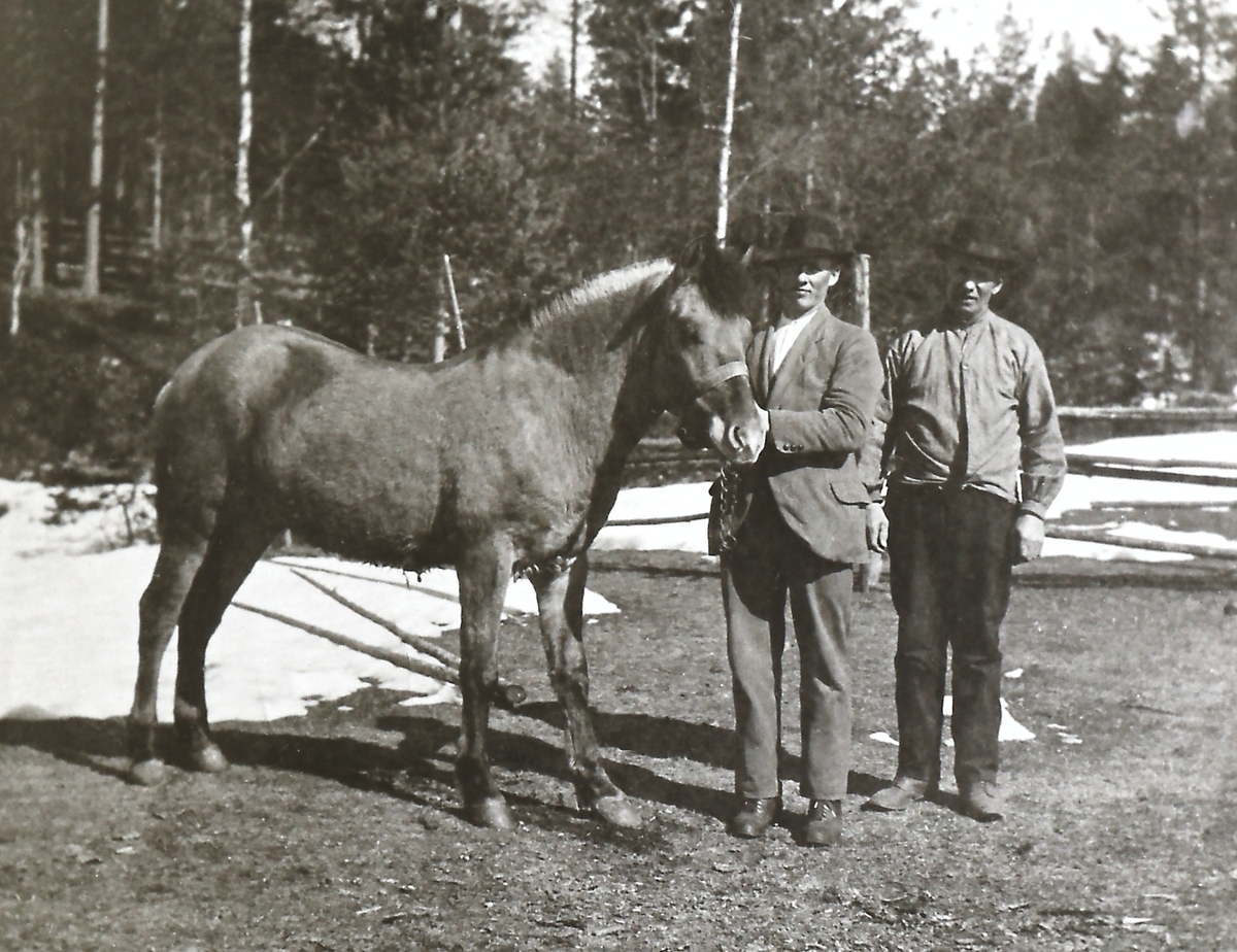 To mann med hest.
Fra v. : Olaf Olsen Lofthus, f.1895 og  Ola Kittilsen Lofthus.