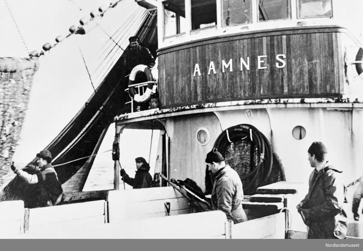 M/K "Aamnes" på loddefiske i Finnmark. Skipper og eier Harald Olsen på brovingen t.v.