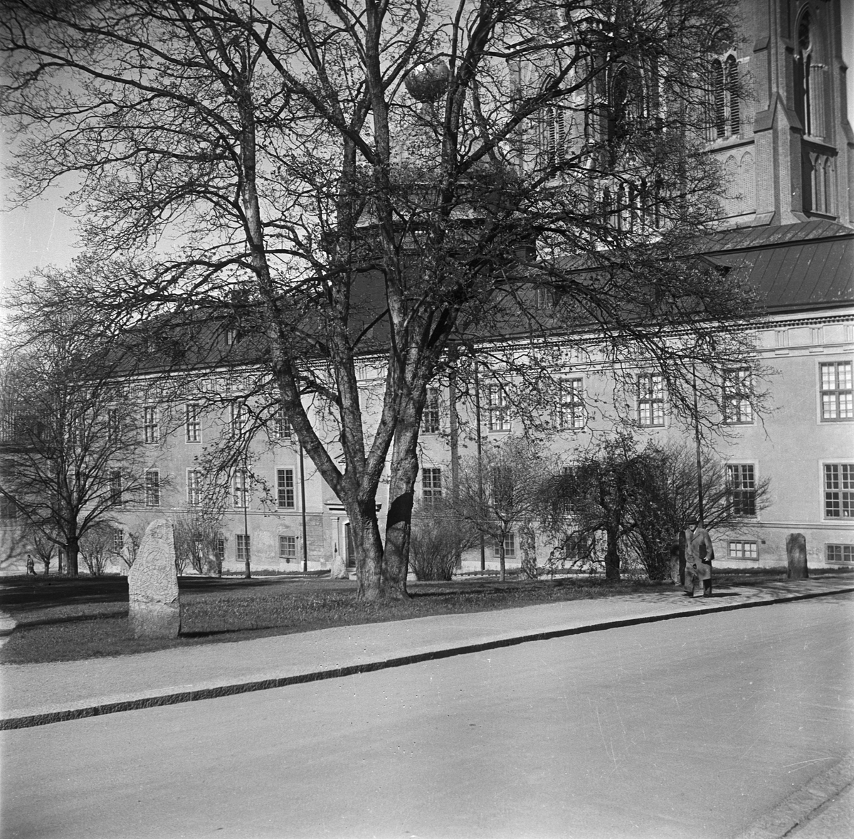 Baksidan av Gustavianum, sett universitetsparken, Uppsala 1958
