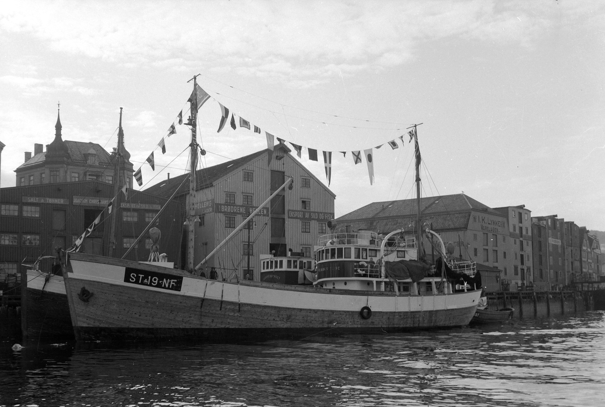 Havfiskefartøyet "Svanaug Elise"