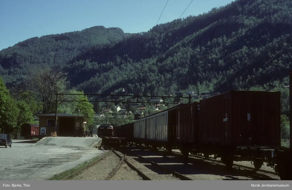 Granvin stasjon med godsvogner